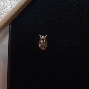 Cherished Moments Sterling Silver Ladybug Earring (1)